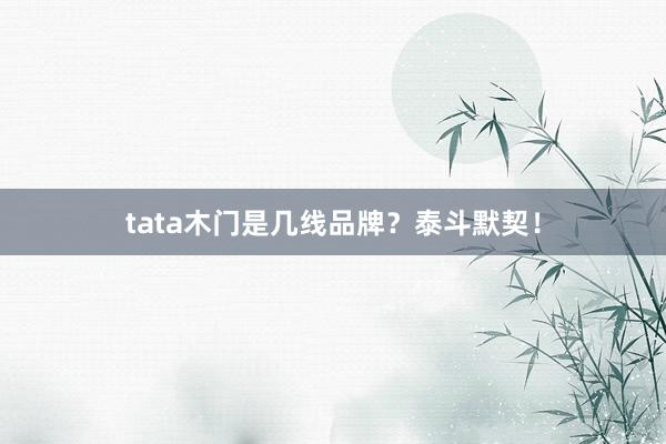 tata木门是几线品牌？泰斗默契！